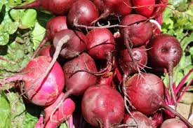 beetroot.jpg