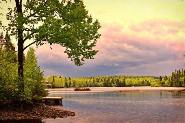 landscape_lake_nature_trees_water_colors_qu_bec_canada-610311