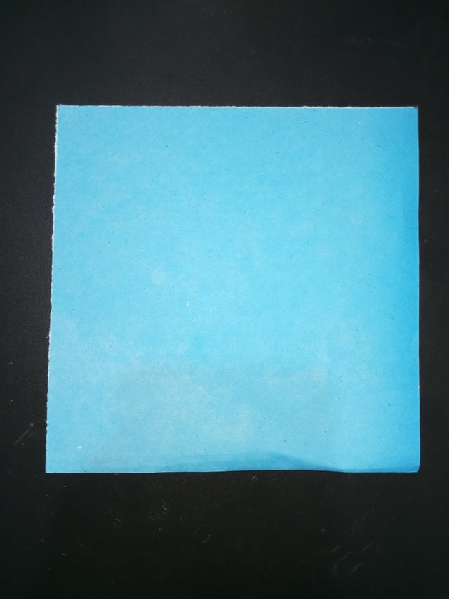 1000029867.jpg
