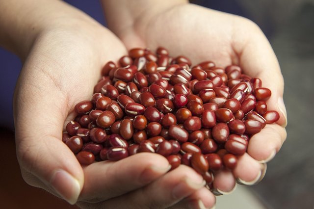 red-beans-587592_1280.jpg