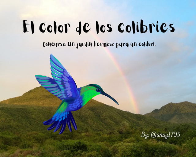 El color de los colibríes_20240725_111552_0000.png