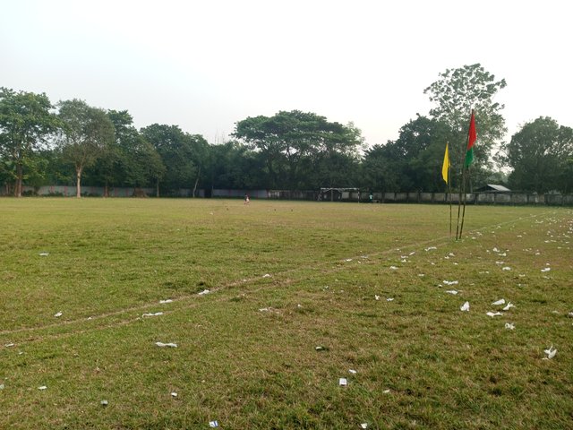 IMG_20241114_161939_313.jpg