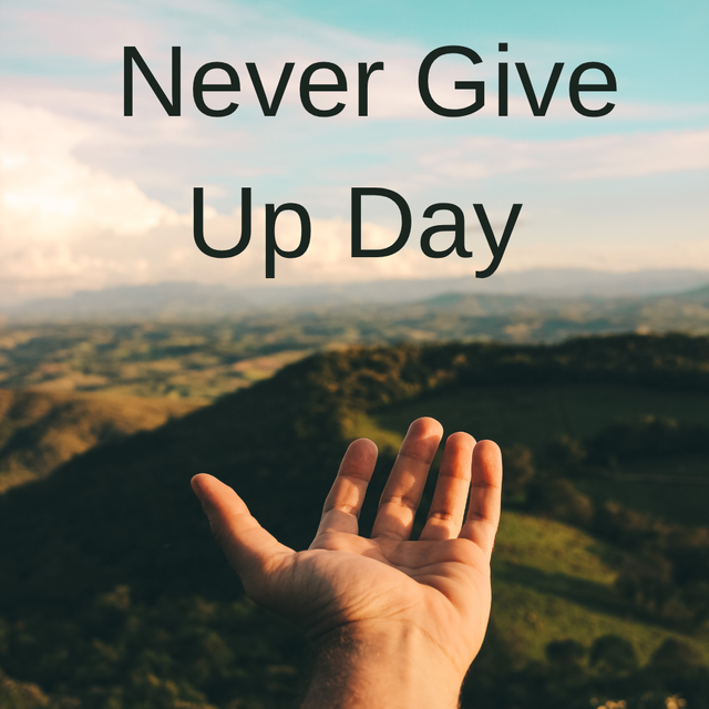 Never give up instagram post .png