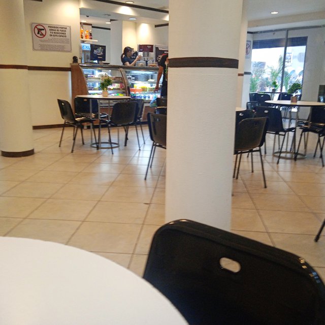 IMG_20240509_172148_1.jpg