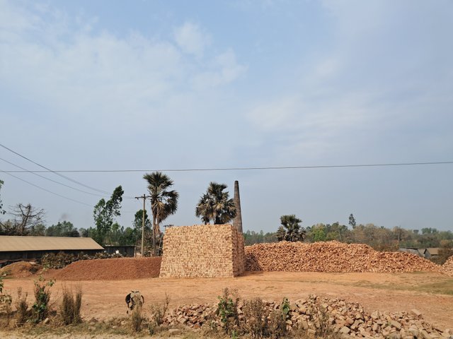 1000019746.jpg