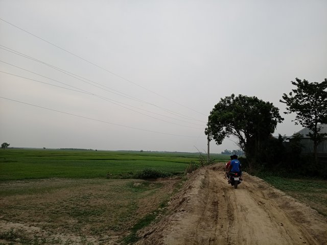 IMG20230428163039.jpg