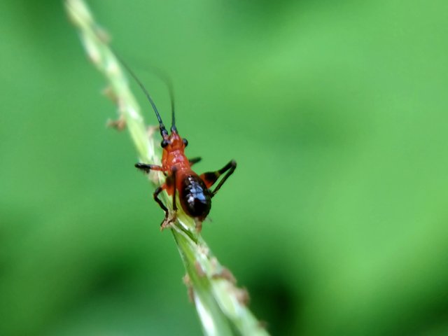 IMG20210420170159.jpg