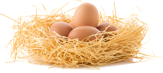 drive-the-eggs-3070850_1280.png