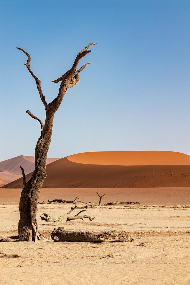 namibia-4965457_1280.jpg