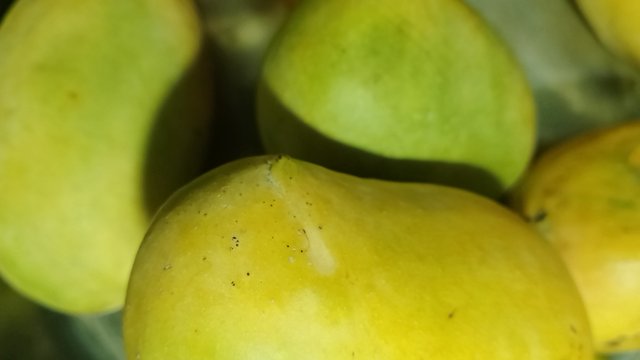 IMG_20250615_201142.jpg