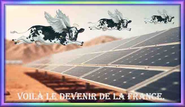 panneau-solaire-est-place-desert_561641-20650.jpg 2.jpg