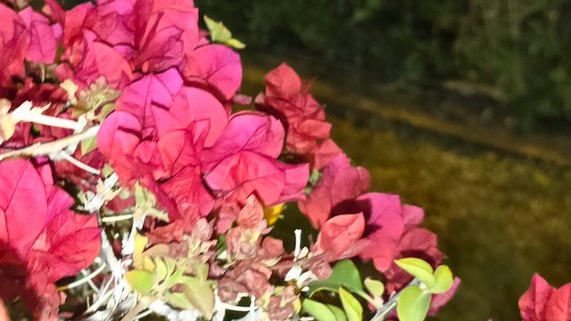 20250214_031139.jpg