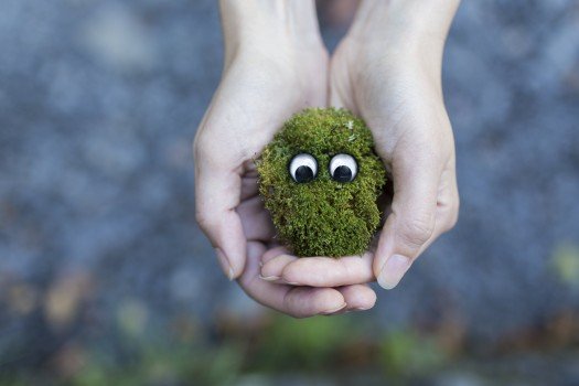 grass-hands-moss-4627-525x350.jpg