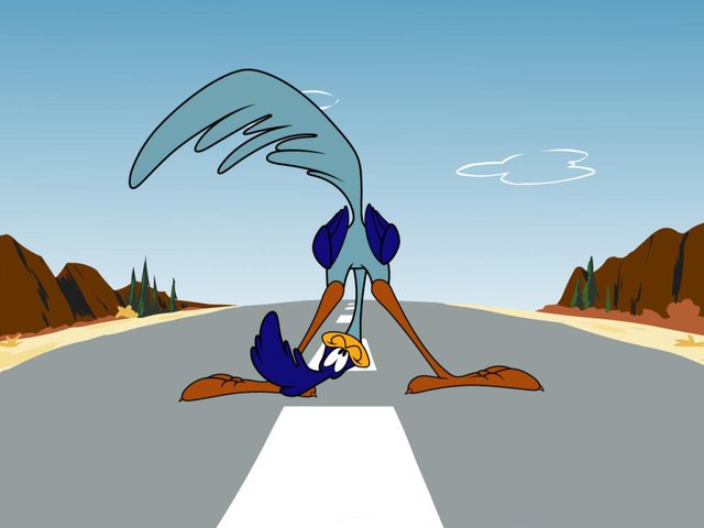 wile-e.-coyote-and-the-road-runner-wallpapers-26329-8115435.jpg