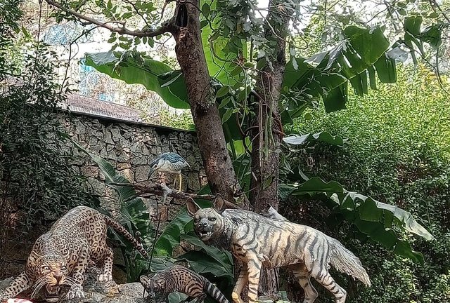 IMG-.jpg