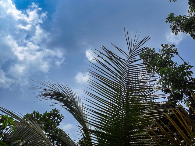 20250503_124354.jpg