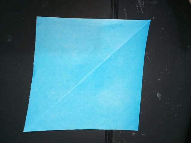1000029876.jpg