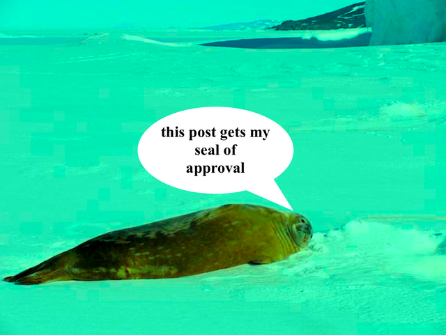 seal of approval.png