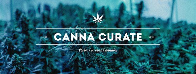 canna-curate_banner.jpg