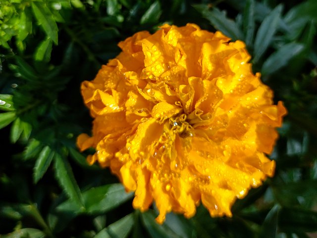 IMG20241215091644.jpg
