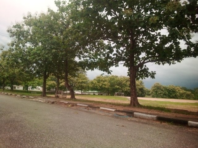 IMG_20250614_182222_260.jpg