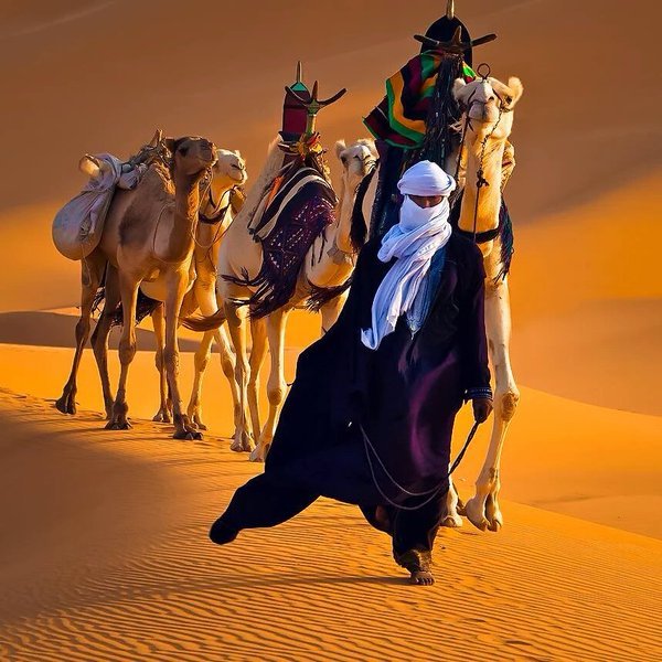 The Tuareg .jpg