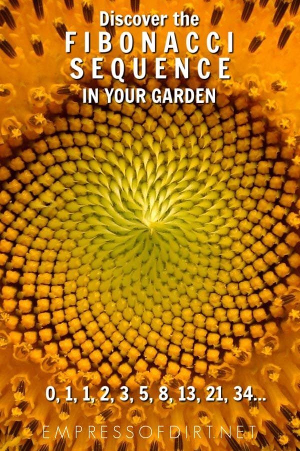 c9-Fibonacci-Sequence-Garden-v1.jpg