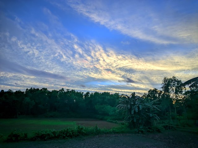 IMG_20250530_172355.jpg