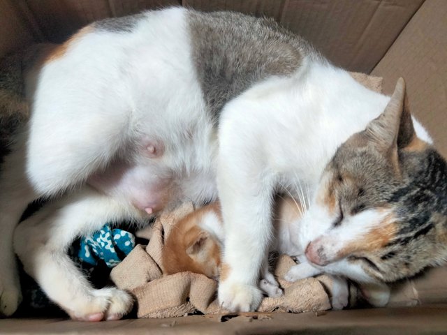 IMG20250921175021.jpg