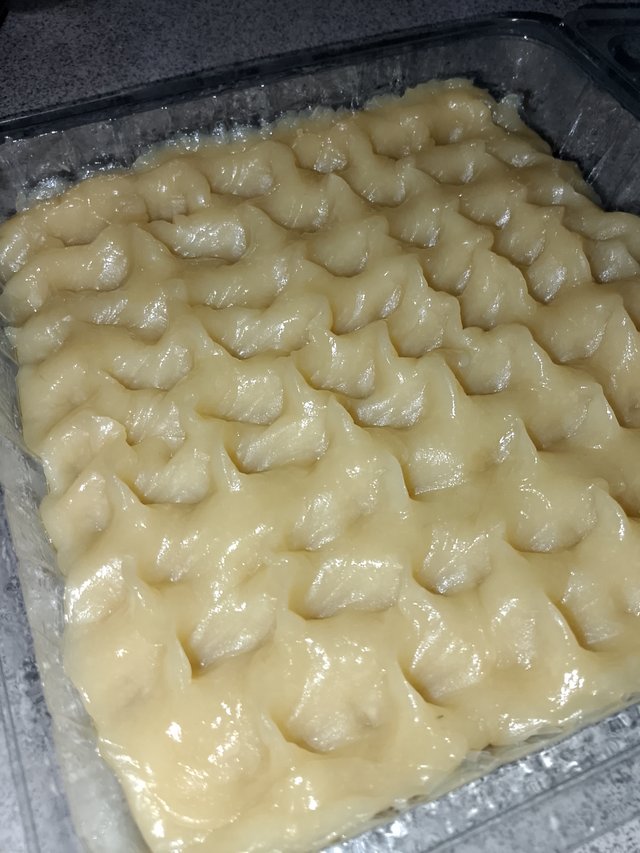 1000123259.jpg