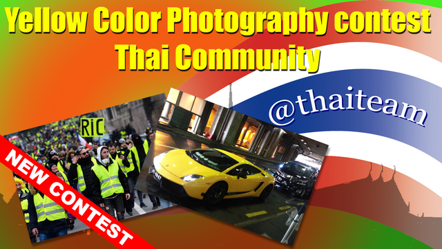 Yellow Photography contest.png