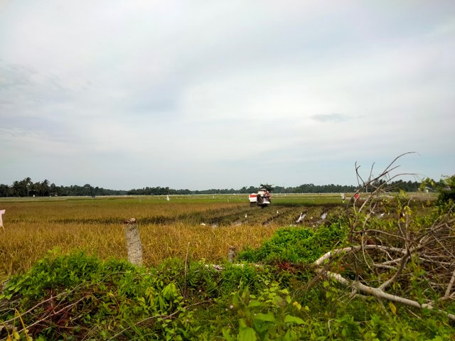 IMG20250817101010.jpg
