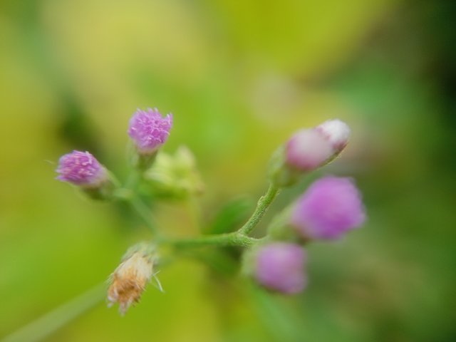 IMG20250720160721.jpg