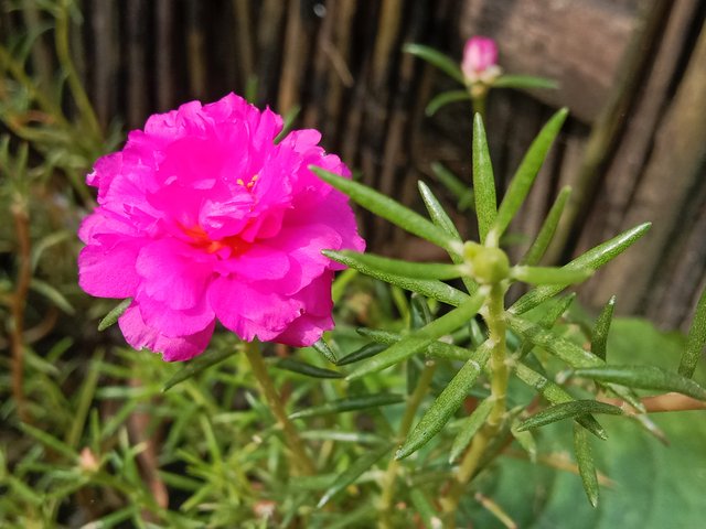 IMG_20250923_071453.jpg