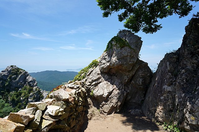 b-DSC08062.JPG