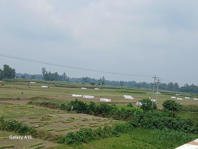 1000044290.jpg