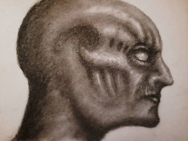 20250607_112805.jpg