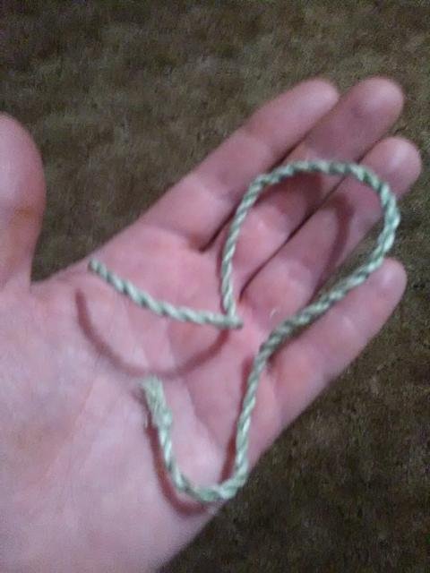 yucca cordage.jpg