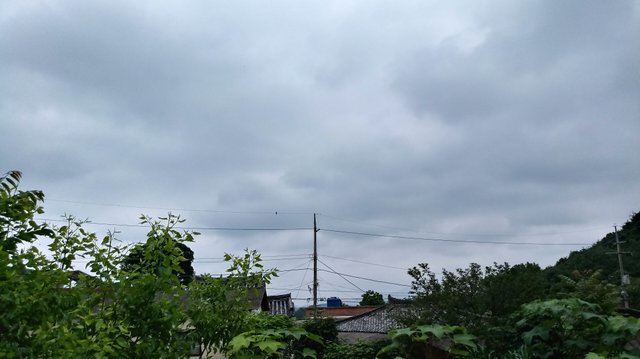 20180613_121438_HDR.jpg