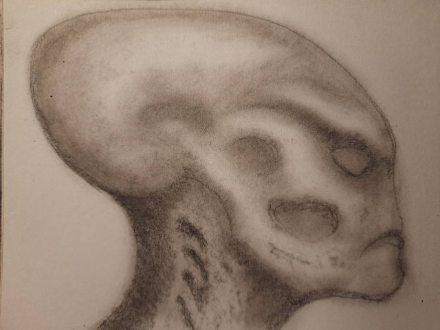 20251001_104433.jpg