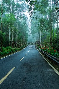 image_search_1683949467619.jpg