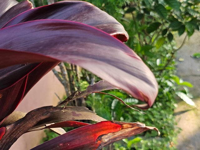 20250621_170023.jpg