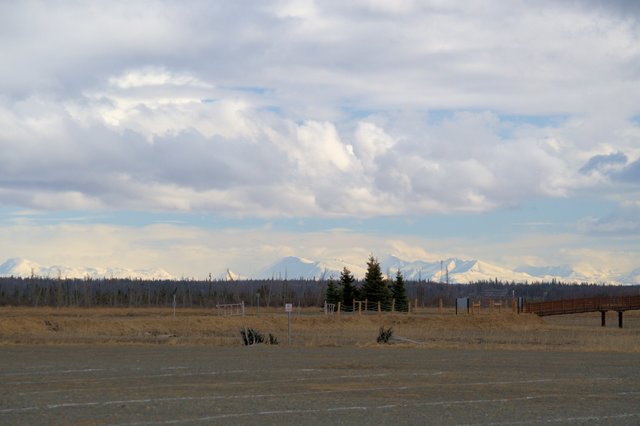 024 wildlife mountain view -1 lens zoomed out view.jpg