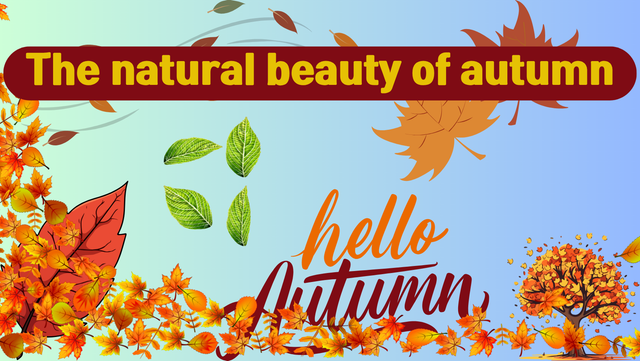 The natural beauty of autumn.png