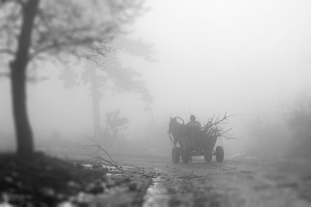 Cart_in_Fog_001_s_ib_BW.jpg