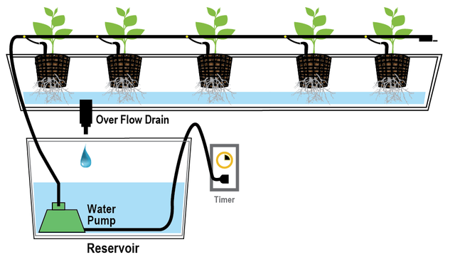 Hydroponics-Drip-Irrigation-System-e1526622809825.png