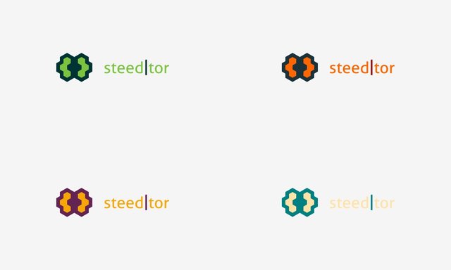 Steeditor-color-logotype2.jpg