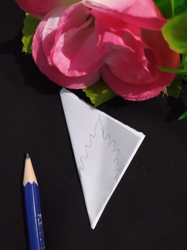 1000009609.jpg