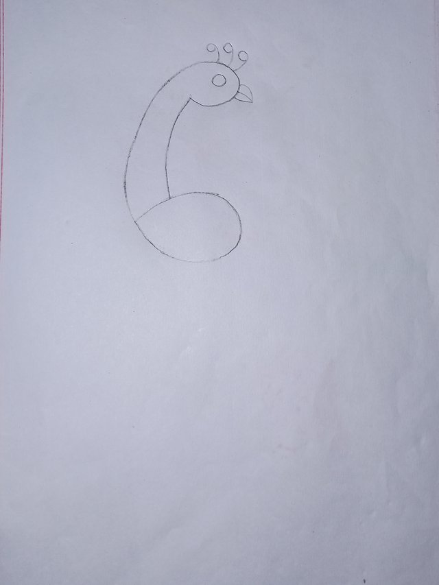 20250624_115201.jpg