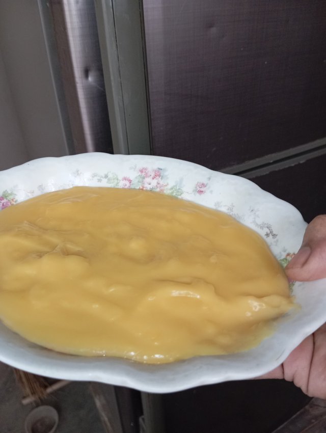 1000049923.jpg